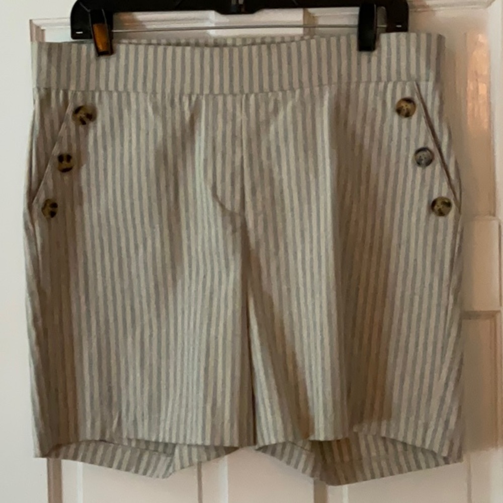 Verve blues Striped Shorts